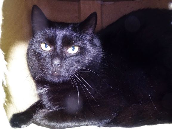 tier selb 0221 philippe