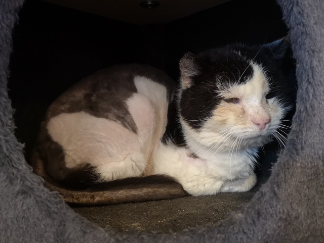 tier selb 0824 jasper