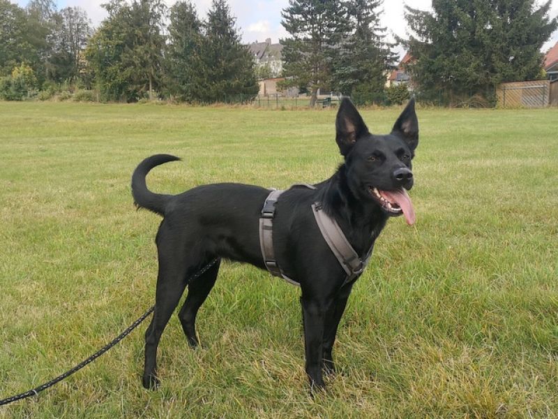 tier selb 0525 lotti