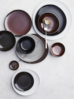 rosenthal selb 1017