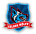 logo verselb