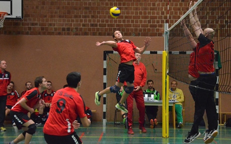 volleyball selb 10161